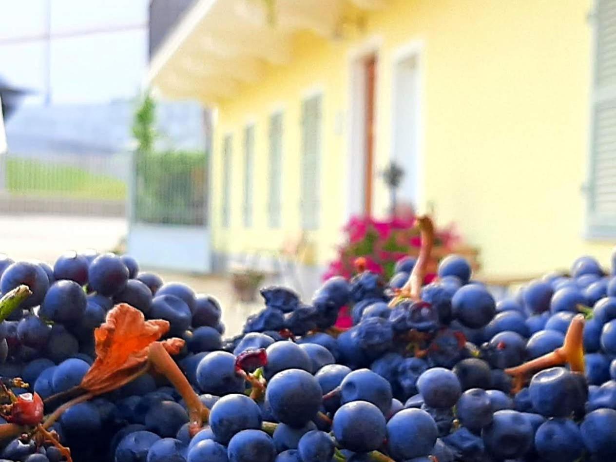 Ciabot Delle Aie - Barolo 아파트 외부 사진