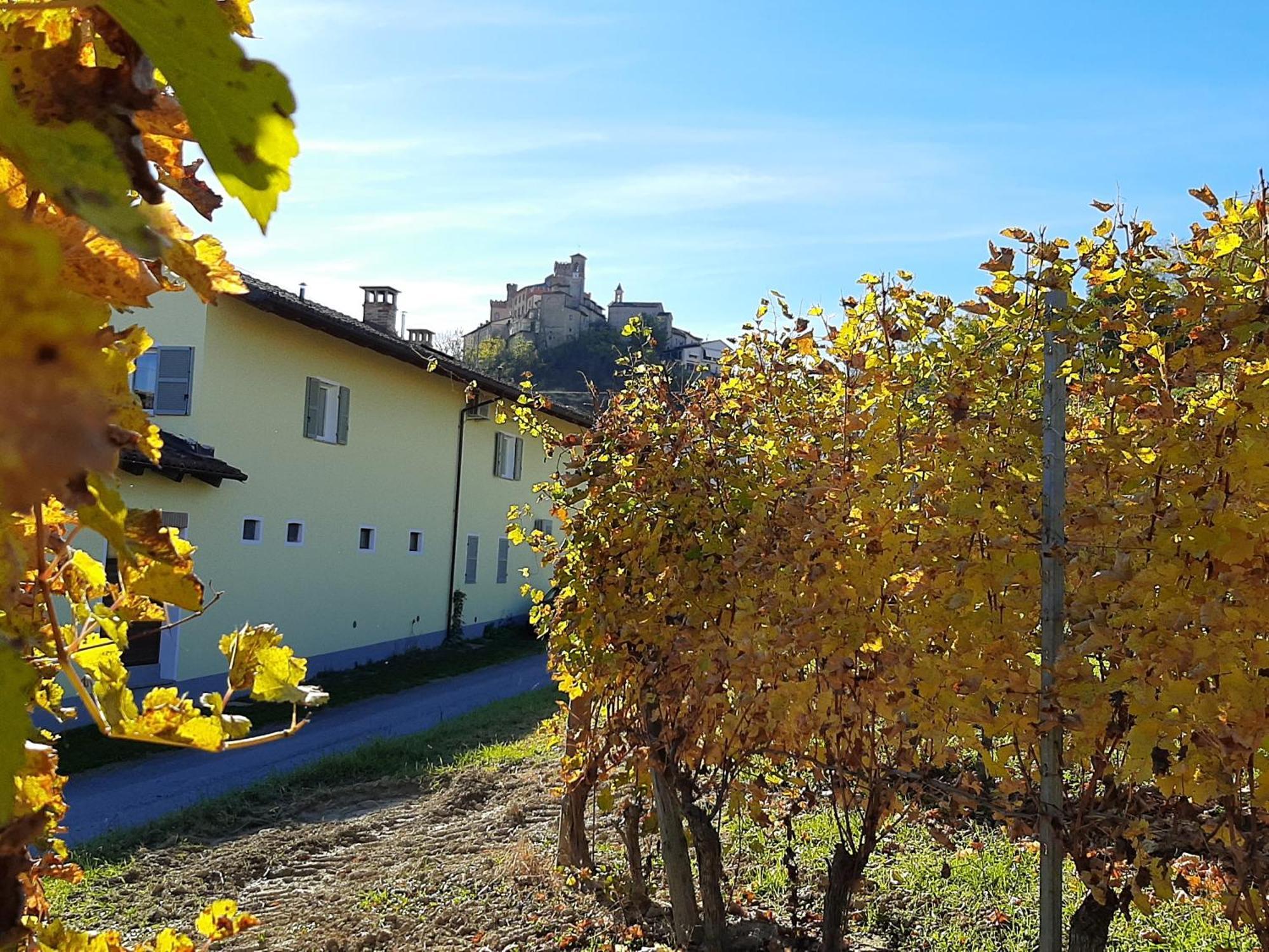 Ciabot Delle Aie - Barolo 아파트 외부 사진